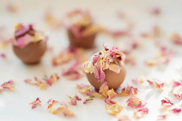 1GoodBet Casino Aip Android/iOS